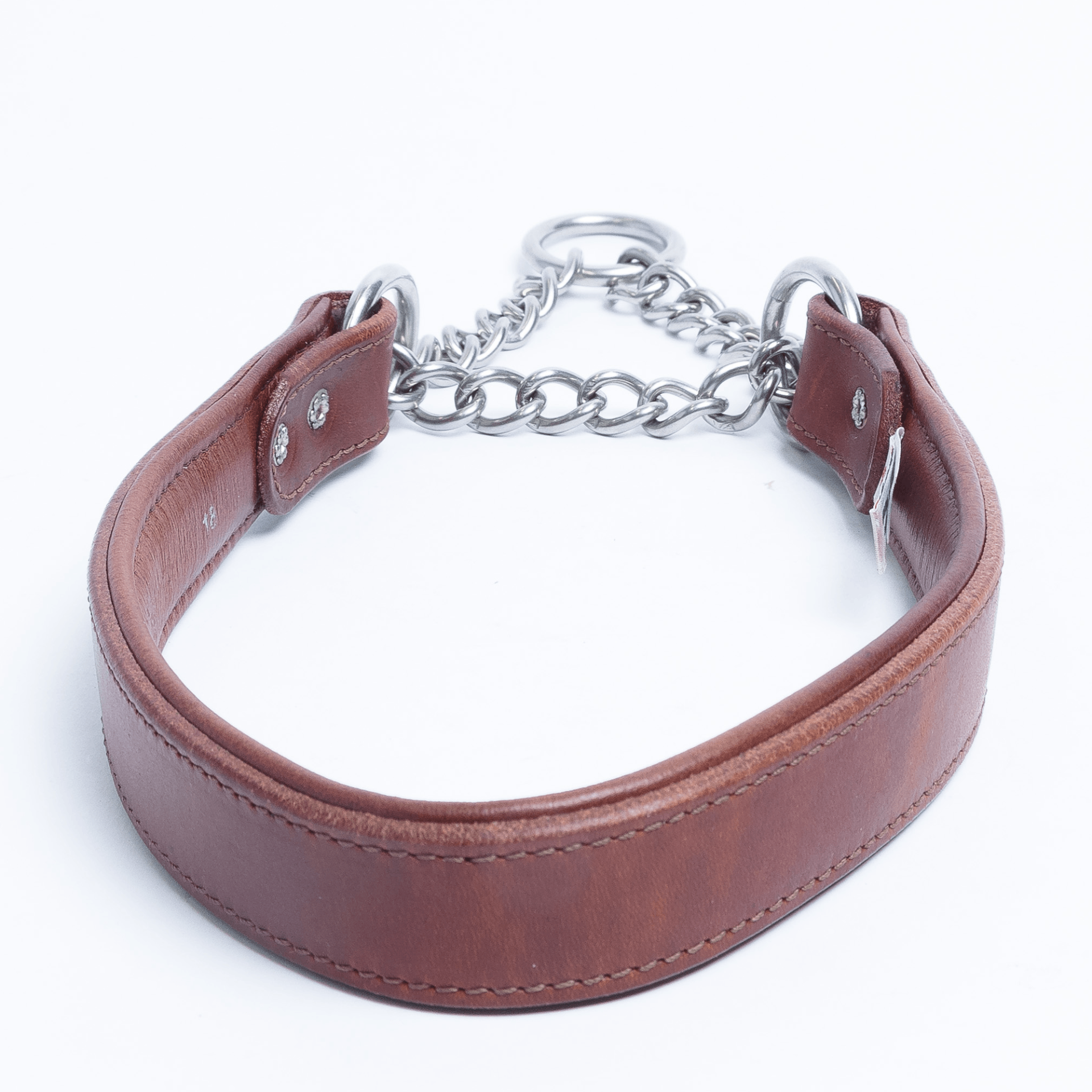 Rio Martingale Collar for Furry Dogs 