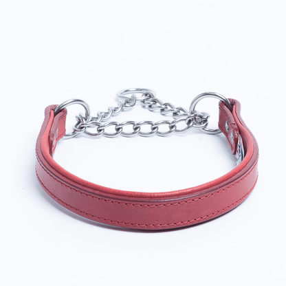 Rio Martingale Collar for Furry Dogs 