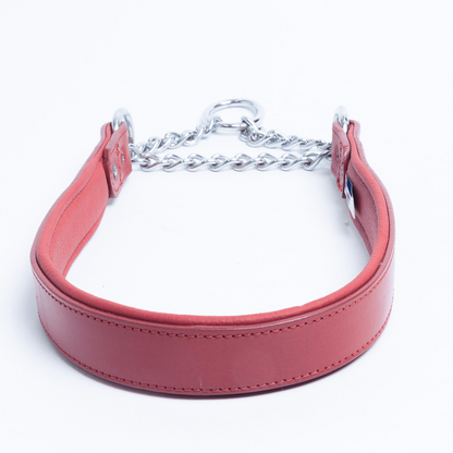 Rio Martingale Collar for Furry Dogs 