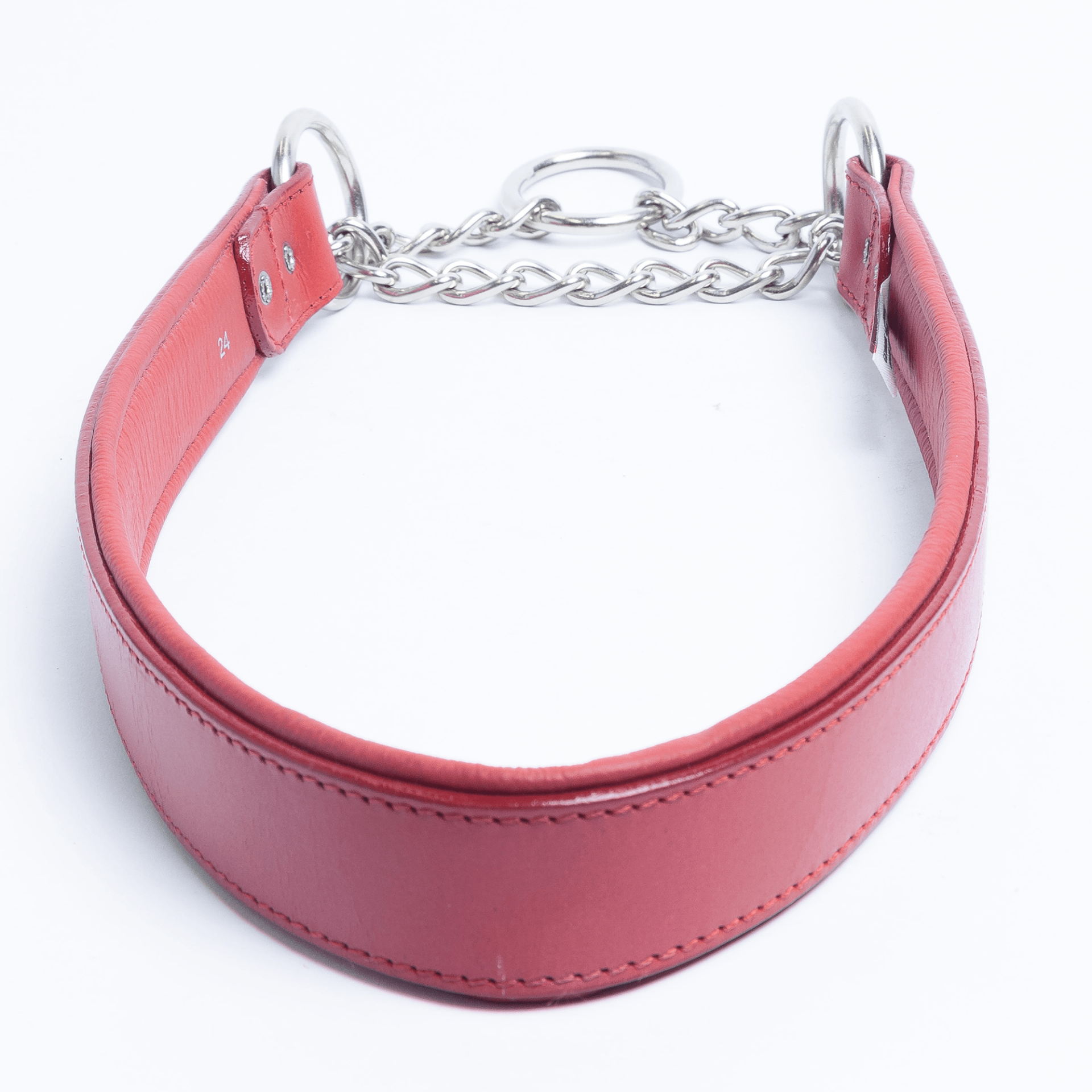 Rio Martingale Collar for Furry Dogs 