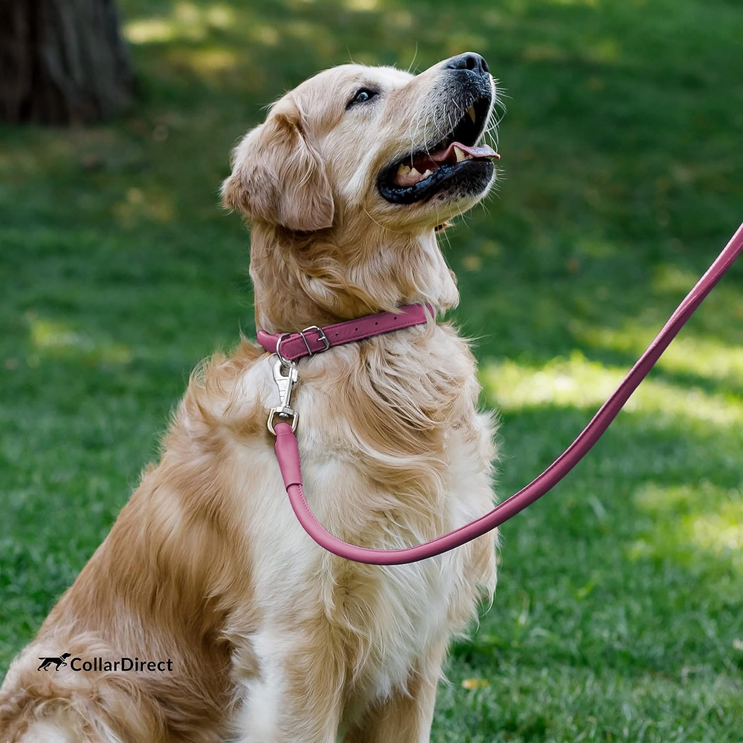 Rolled Leather Dog Collar, Soft Padded round Puppy Collar, Handmade Genuine Leather Collar Dog Small Large Cat Collars 13 Colors (18-22 Inch, Pink Textured)