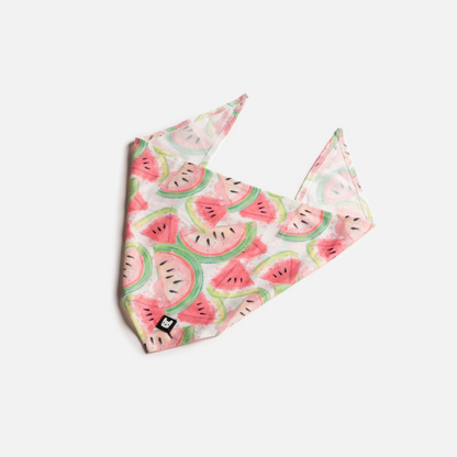 Dog Bandana - Watermelon