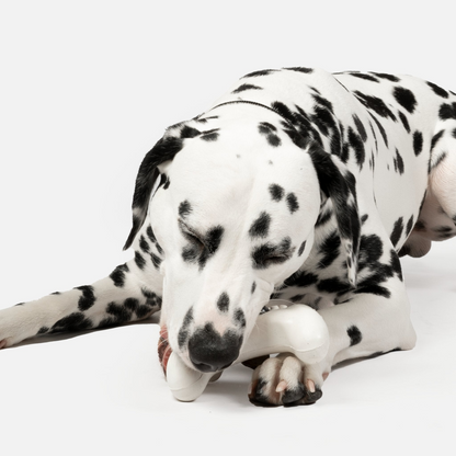 Game Controller With Chicken Scent Dog Toy