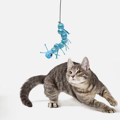 Caterpillar Dangler Cat Toy