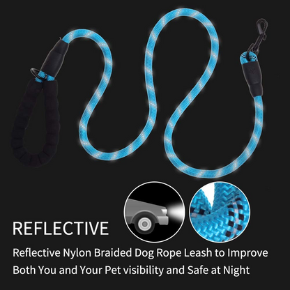 5 FT Thick Highly Reflective Dog Leash-Pink