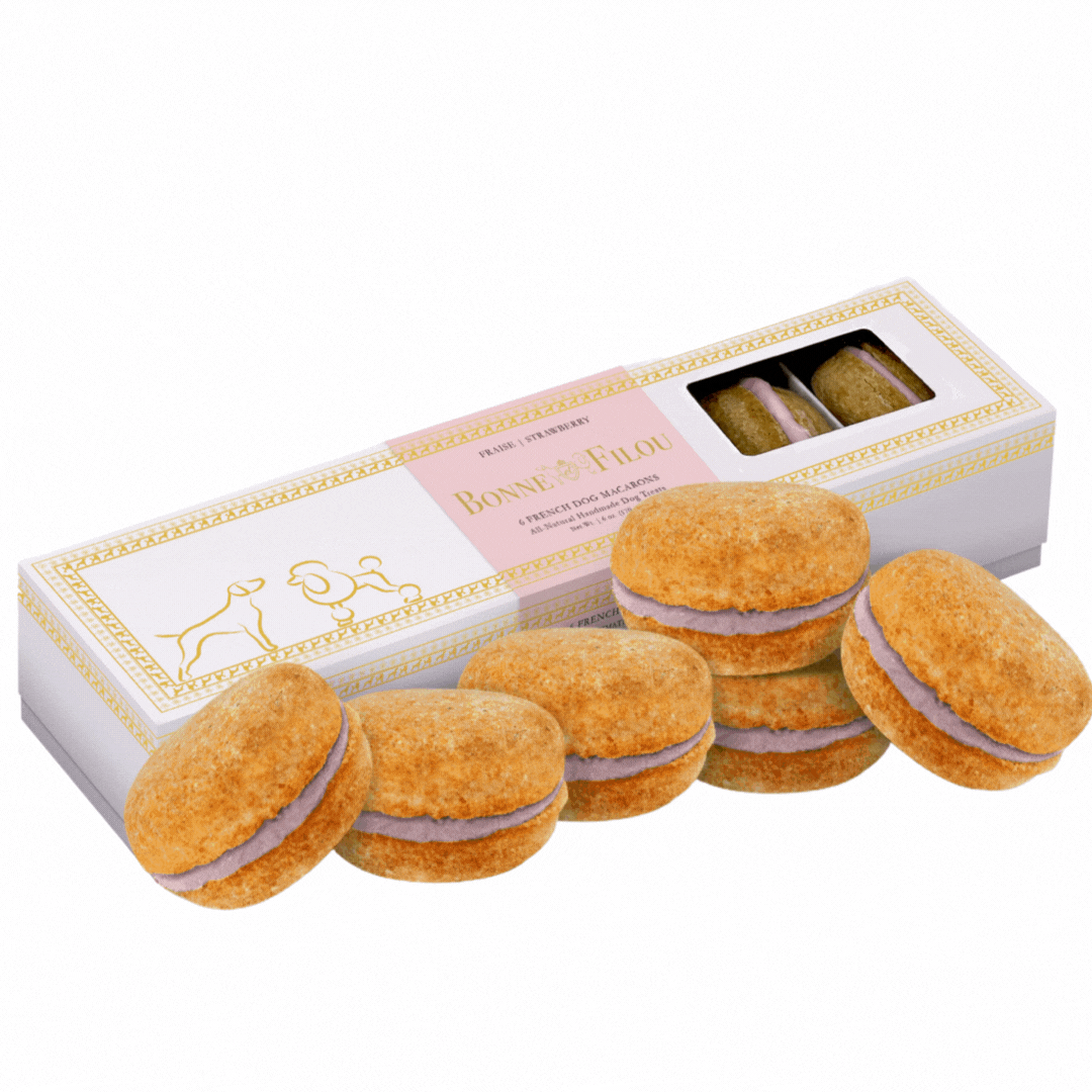 Dog Macarons (Count of 6 - window in packaging)