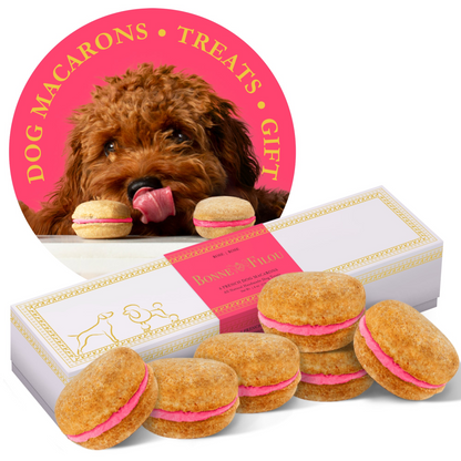 Dog Macarons (Box of 6)