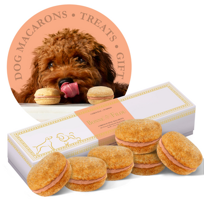 Dog Macarons (Box of 6)