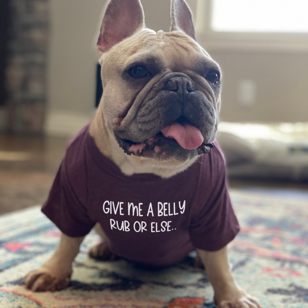 Give me Belly Rubs Dog Shirt