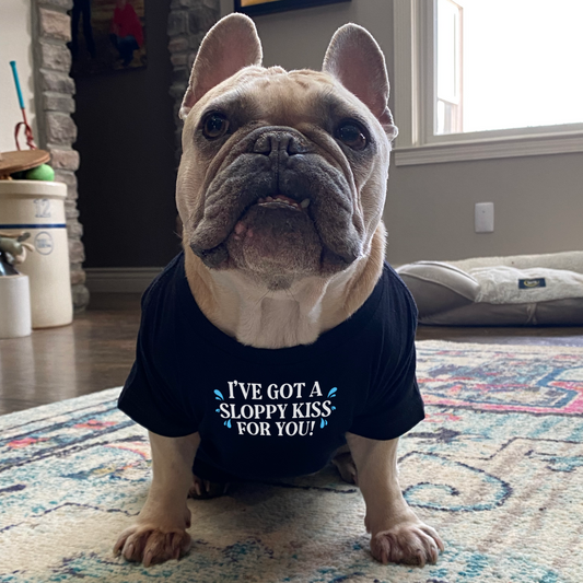 A Sloppy Kiss For You Dog Shirt