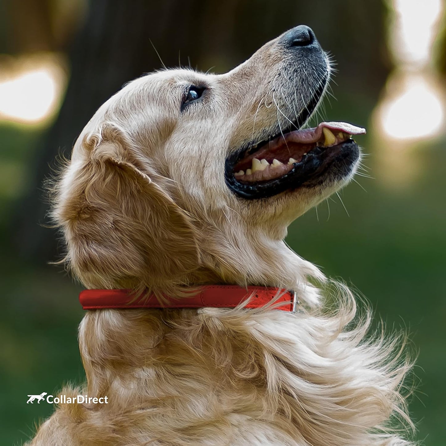 Rolled Leather Dog Collar, Soft Padded round Puppy Collar, Handmade Genuine Leather Collar Dog Small Large Cat Collars 13 Colors (6 Inch, Red Textured)