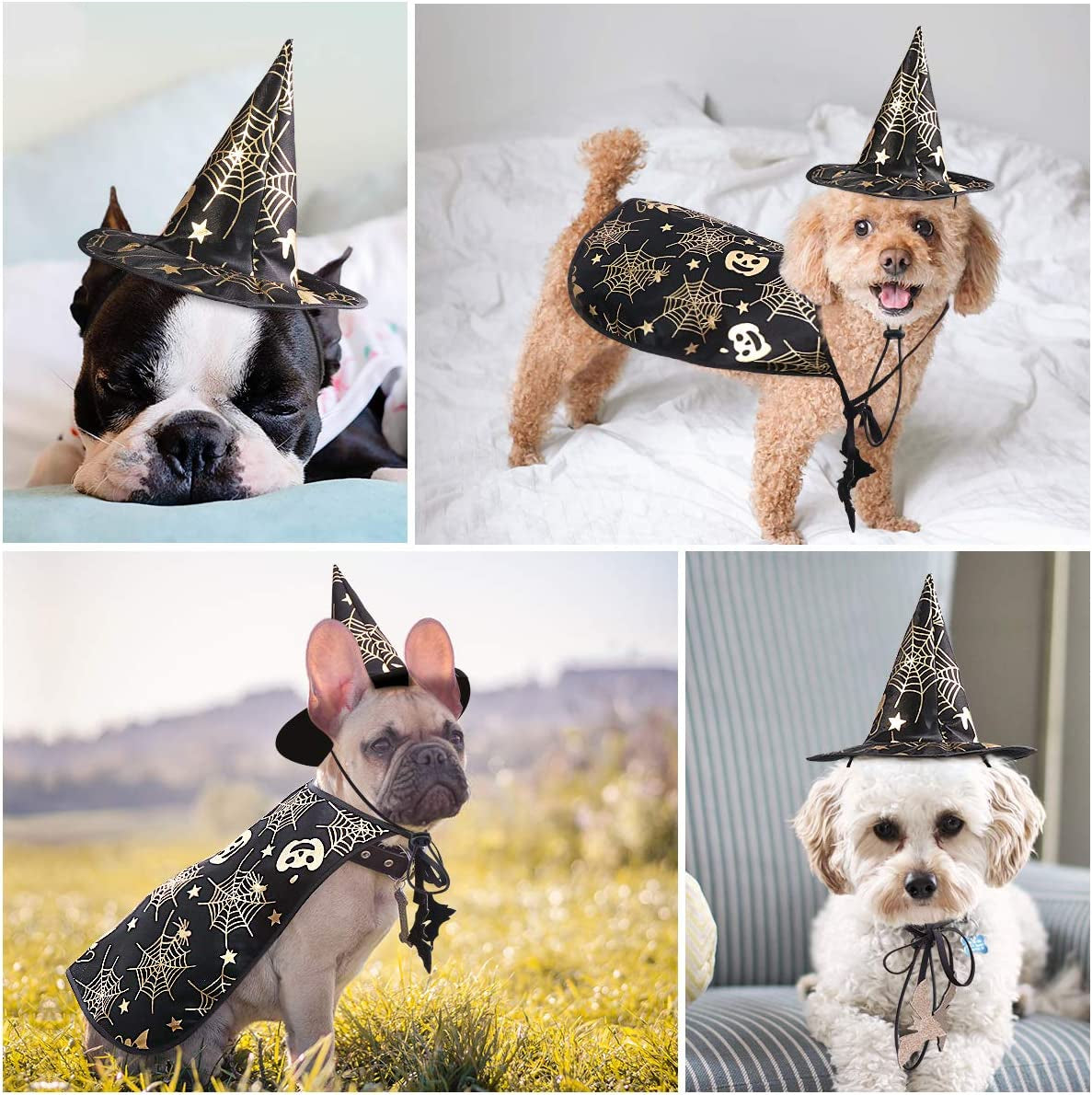 Pet Halloween Costumes Cape with Wizard Hat Dog Cat Halloween Apparels (Size S)