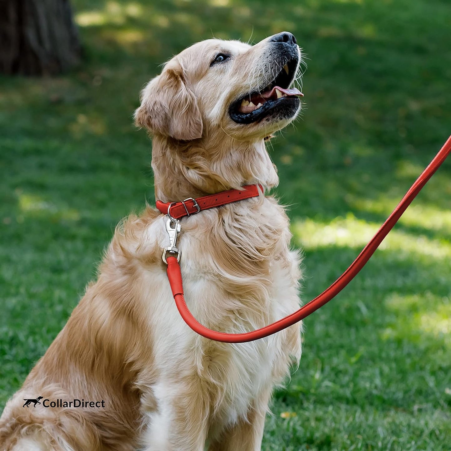 Rolled Leather Dog Collar, Soft Padded round Puppy Collar, Handmade Genuine Leather Collar Dog Small Large Cat Collars 13 Colors (6 Inch, Red Textured)