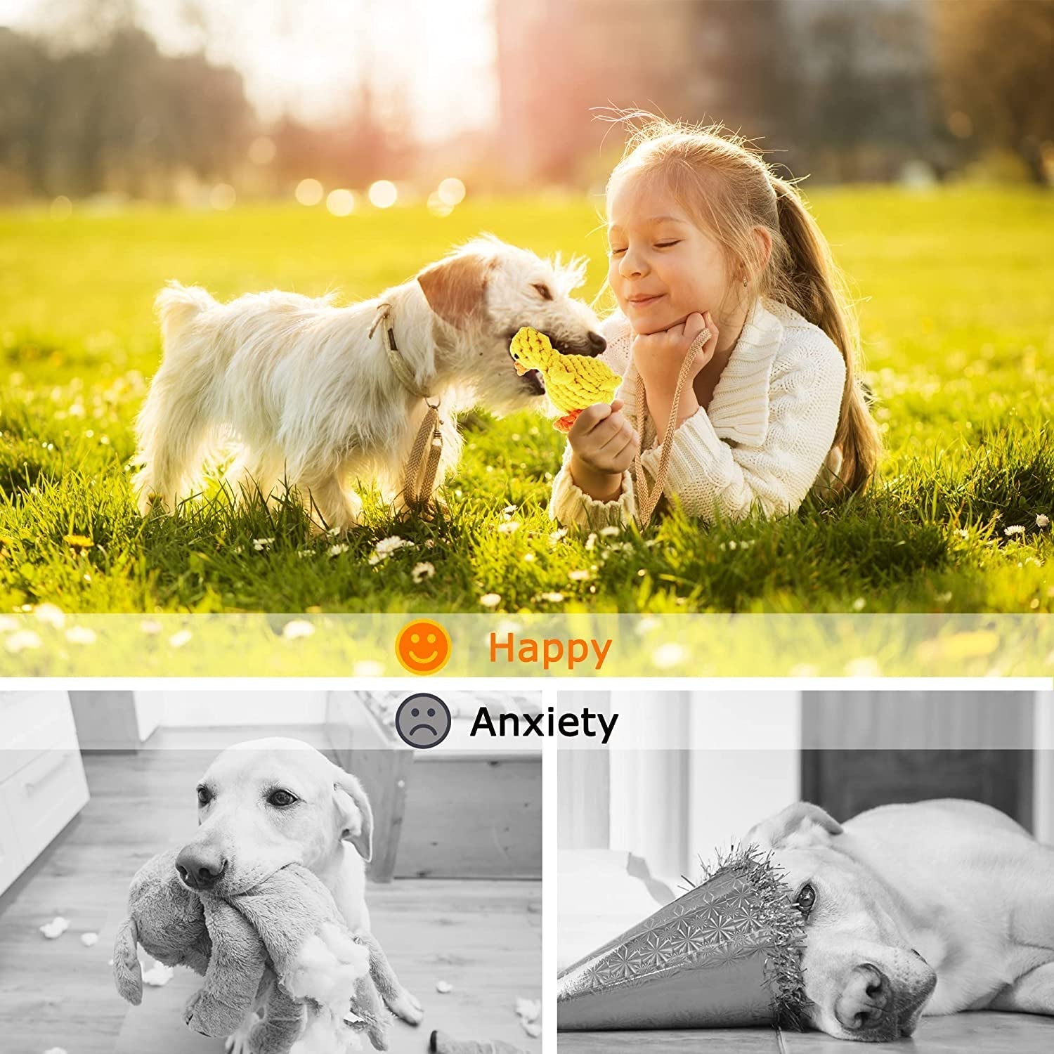 heavy-duty teething chew toys provide safe, natural cotton fun