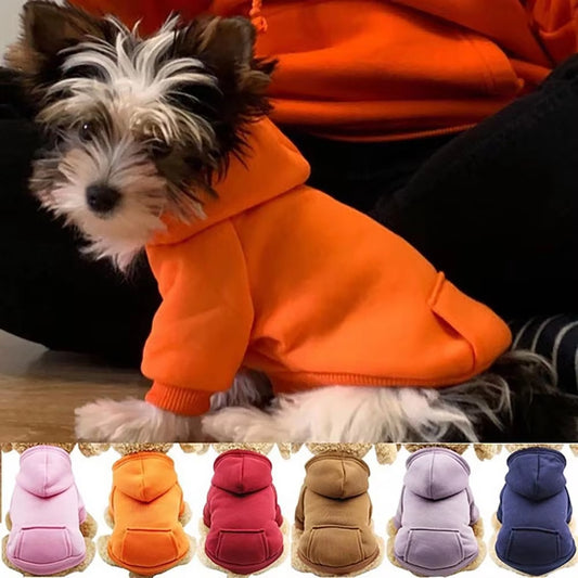 Dog Sweater Puppy Pet Hooded Sweatshirt Autumn Winter Two-Legged Pocket Cat Dog Clothes Pet Supplies