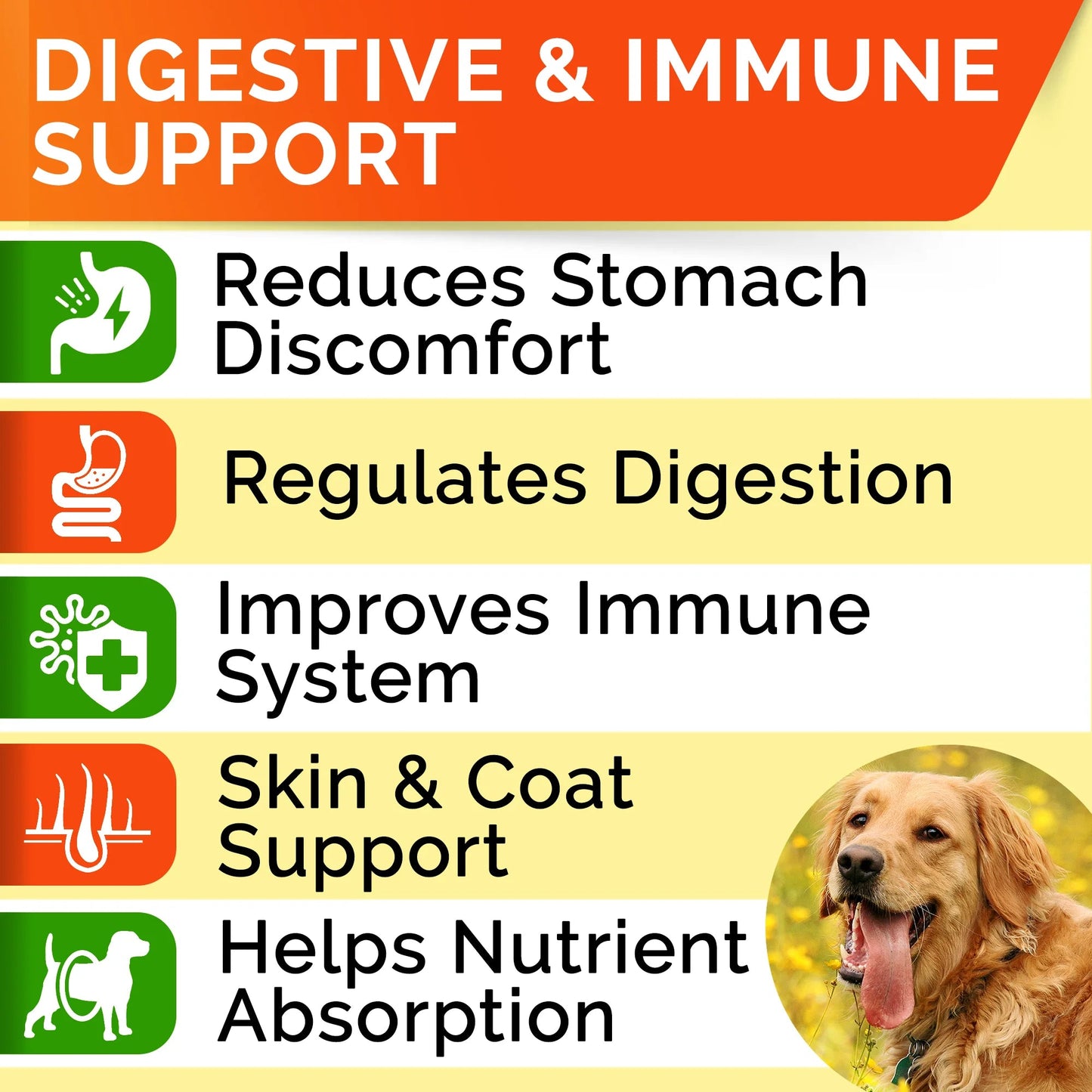 Probiotics Chews for Dogs & Digestive Enzymes