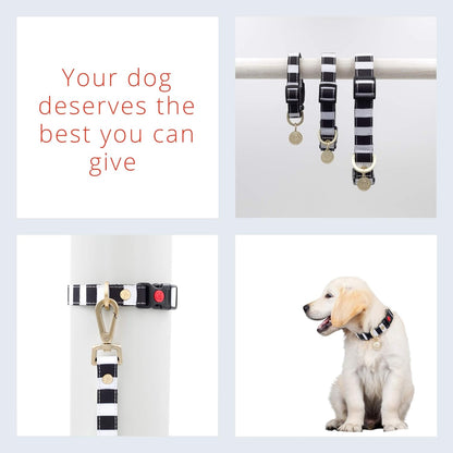 Dog Collar for Small Dogs | Designer Dog Collar | Heavy Duty Dog Collar | Durable Dog Collar - High Tensile D Ring & Lockable Safety Buckle | Small Black/White | Matching Leash Available