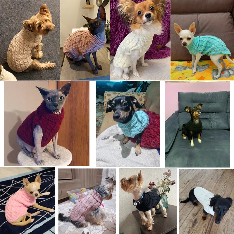 Dog Sweaters for Small Dogs Winter Warm Dog Clothes Turtleneck Knitted Pet Clothing Puppy Cat Sweater Vest Chihuahua Yorkie Coat