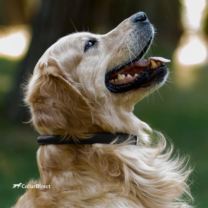 Rolled Leather Dog Collar, Soft Padded round Puppy Collar, Handmade Genuine Leather Collar Dog Small Large Cat Collars 13 Colors (6-7 Inch, Black Textured)