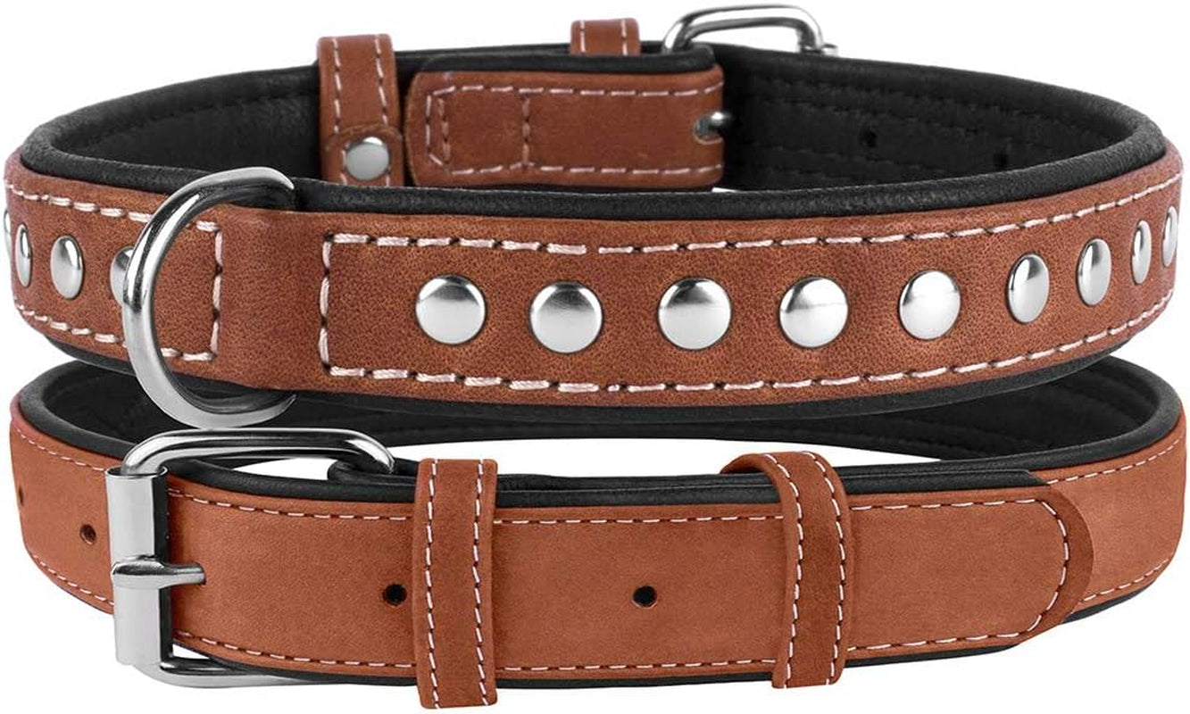 Studded Dog Collar Leather Pet Collars for Dogs Small Medium Large Puppy Soft Padded Brown Black (Brown, Neck Fit 13" - 14")